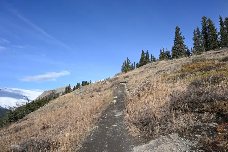 離開森林線後路徑坡度較陡