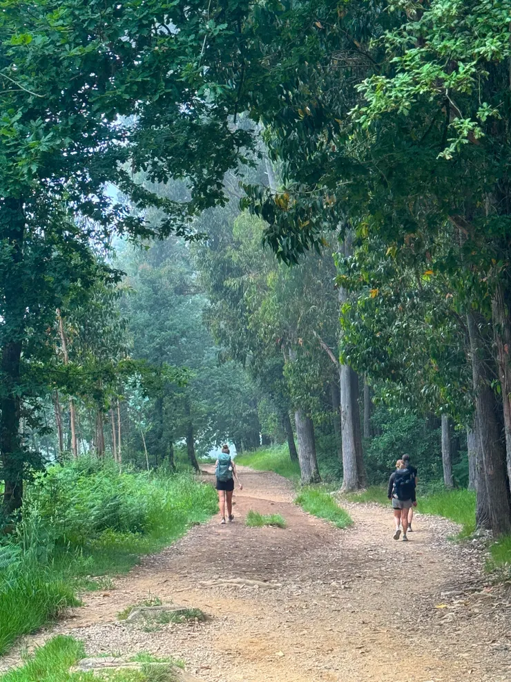 陸陸續續開始有朝聖者同行