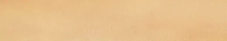 啃心理學的沙龍