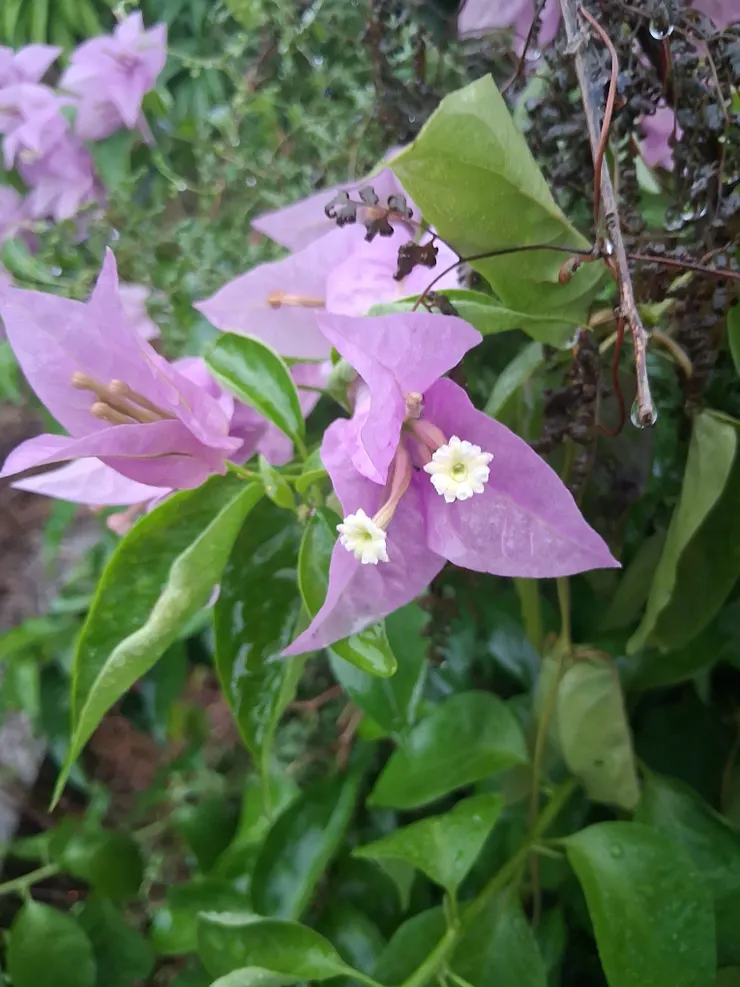 喜歡自然景色＾-＾