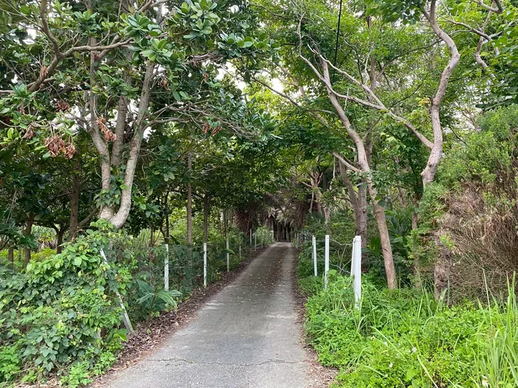「海邊小巫」餐廳秘境