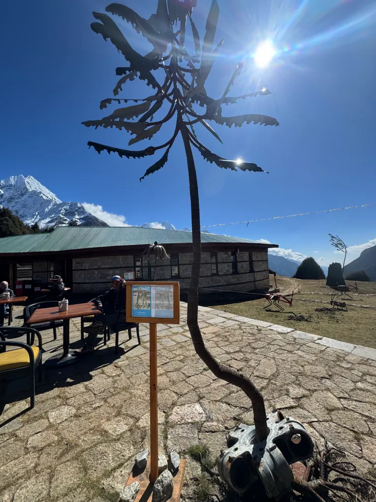 博物館外以垃圾組成的裝置藝術