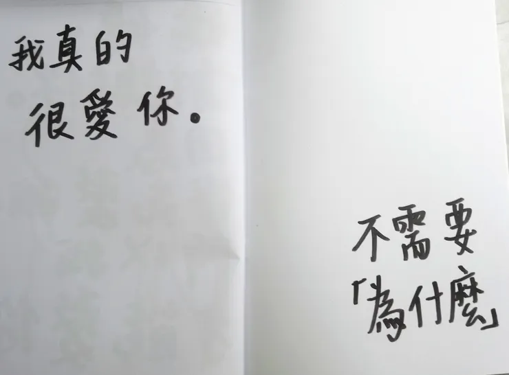 這是我大學時上課的作業,手做繪本。這本繪本被我命名為〈我很愛你〉,其中有一頁寫到:「我真的很愛你。不需要『為什麼』」可是我生命中所有的愛,或那些被稱為愛的東西,都是交換,都是儲值,都很消耗,都很輕省。