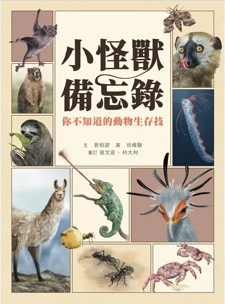 《小怪獸備忘錄》｜博客來