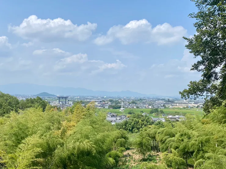 大美和の杜展望台