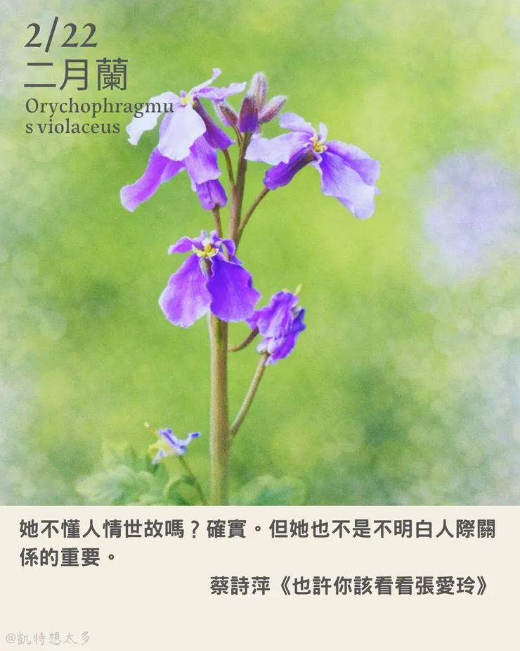 2 月 22日｜二月蘭×蔡詩萍《也許你該看看張愛玲》