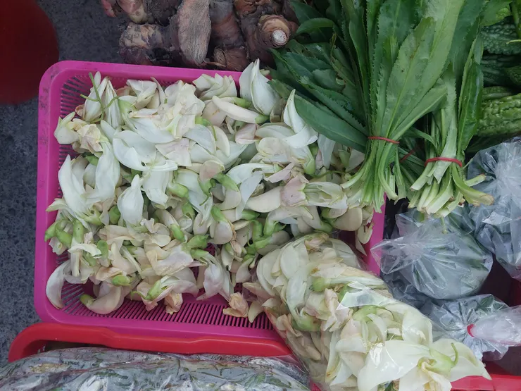 東南亞人常吃的食用花 大花田菁
