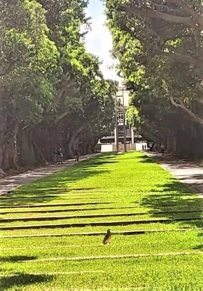 文理大道(李建崑攝影)