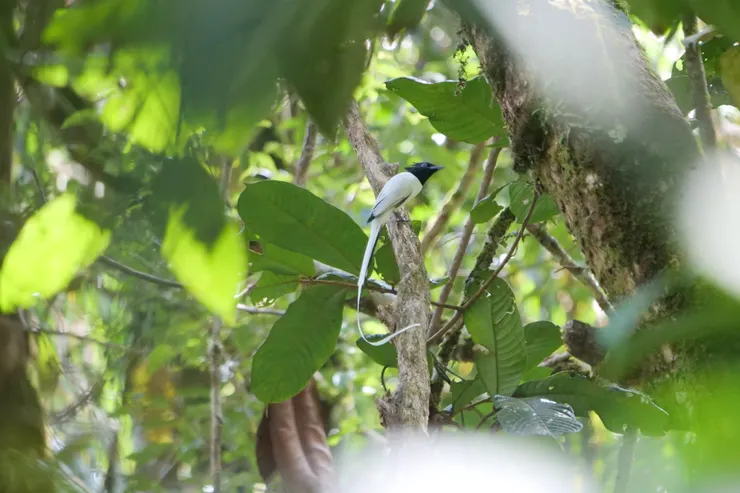 快門不斷按，不想錯過每一個動作