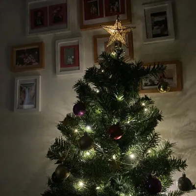 😼9988😸的沙龍