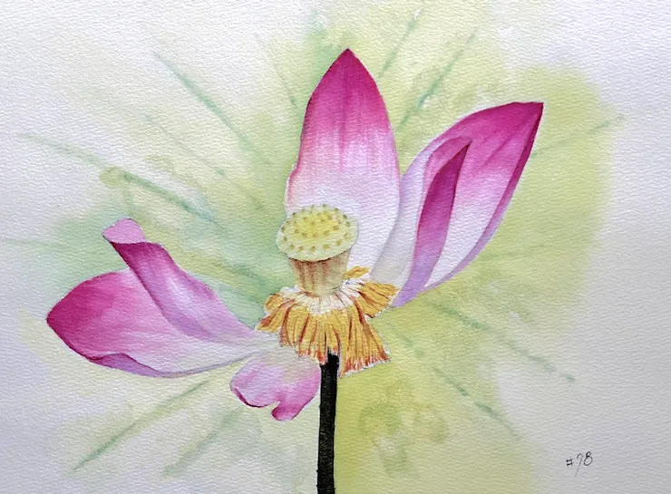 YHCC@水彩練習W78, 38x26cm, DEC2024 (秋荷構圖參照網路攝影 https://pin.it/4YP4z498H )