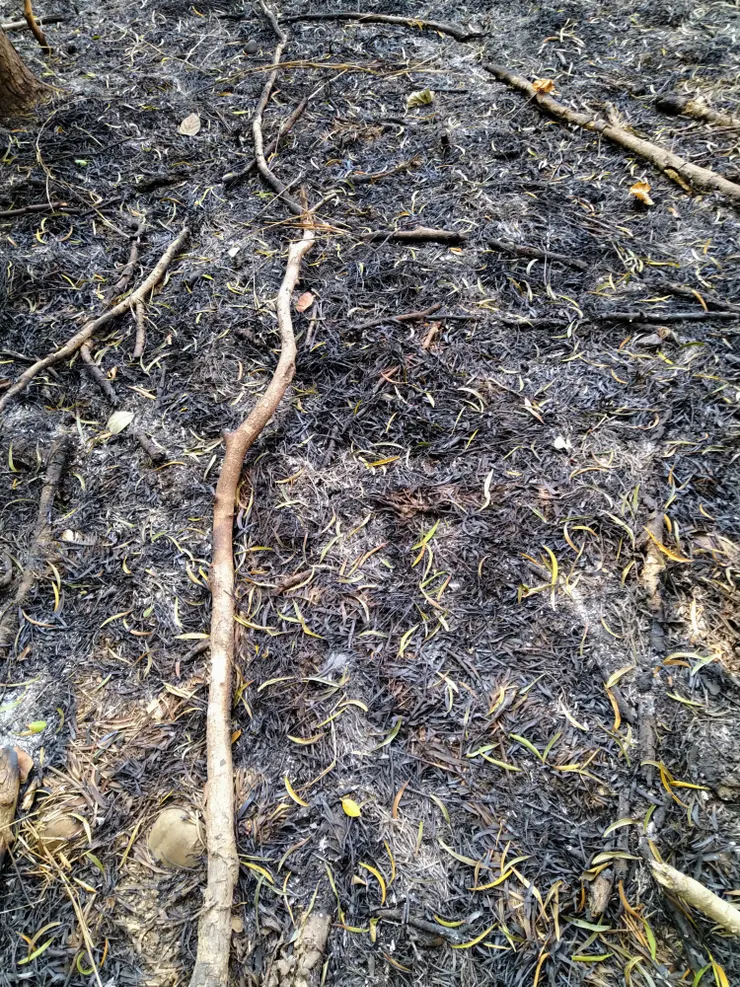 photographer by Hsun