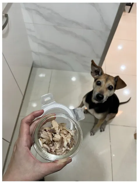 小狗與他的肉絲