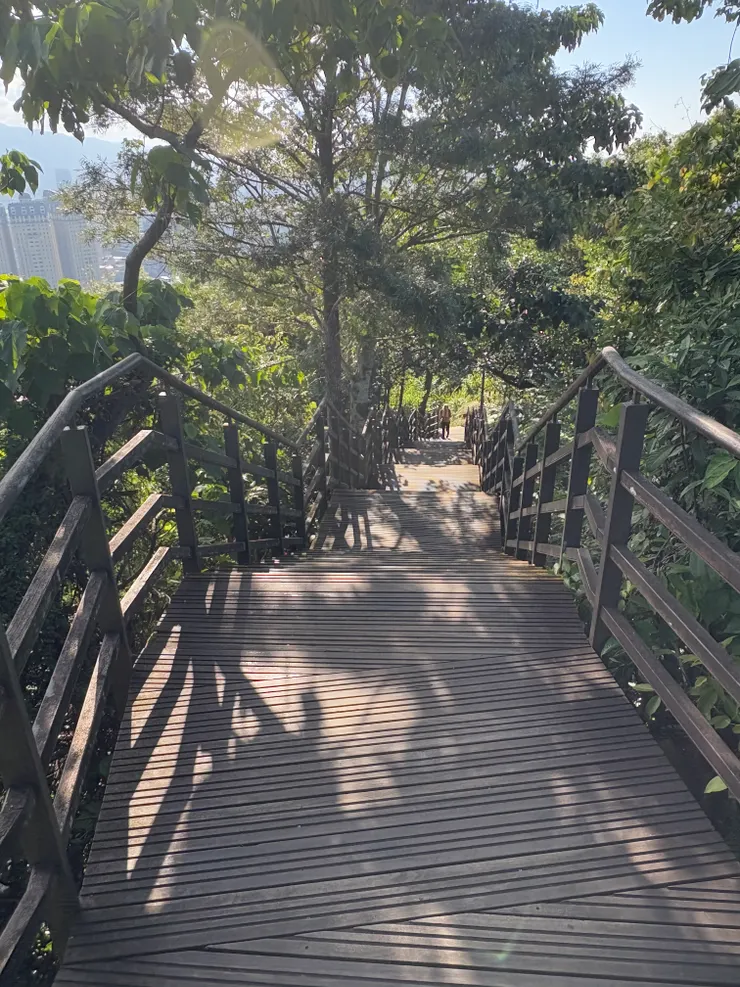 經過獅子亭，再走這段木棧階梯，瞬間就到山頂