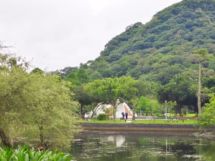 細雨紛飛的大湖公園