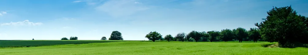 自由的風的沙龍