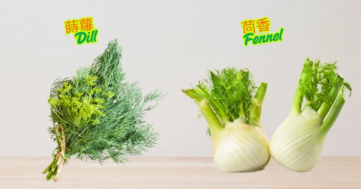 Image source: Canva Pro