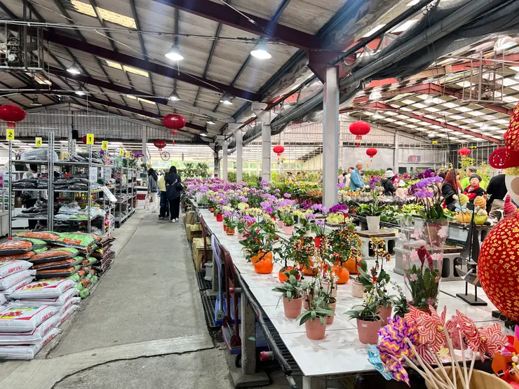 室內盆器與植物分區明顯