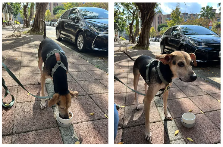 早上吃飯與停等 5 分鐘,沒有休息,但太陽真的很棒