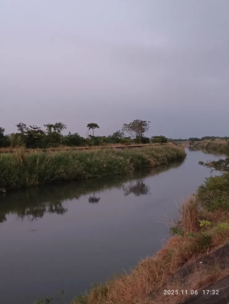 溪鏡平蒼鷺飛渡，自拍攝