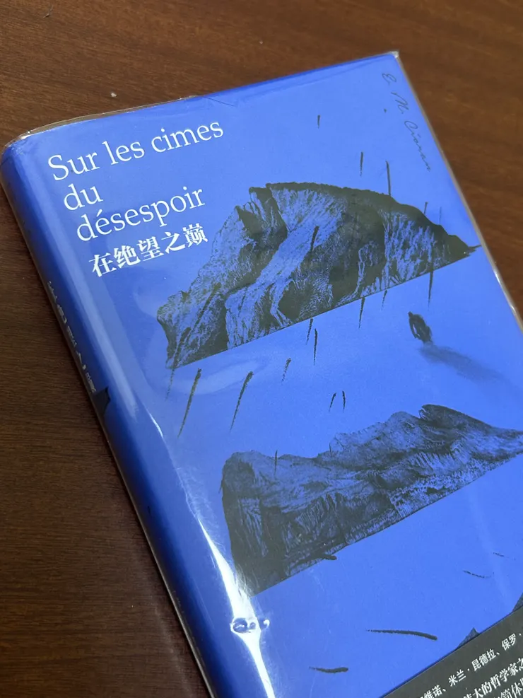 藍色的封面，透露著無盡的憂鬱