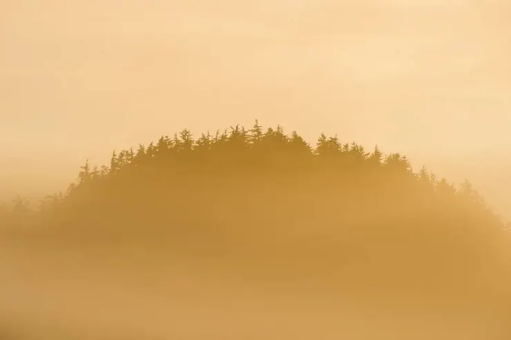 Photo by Frank Busch on Unsplash