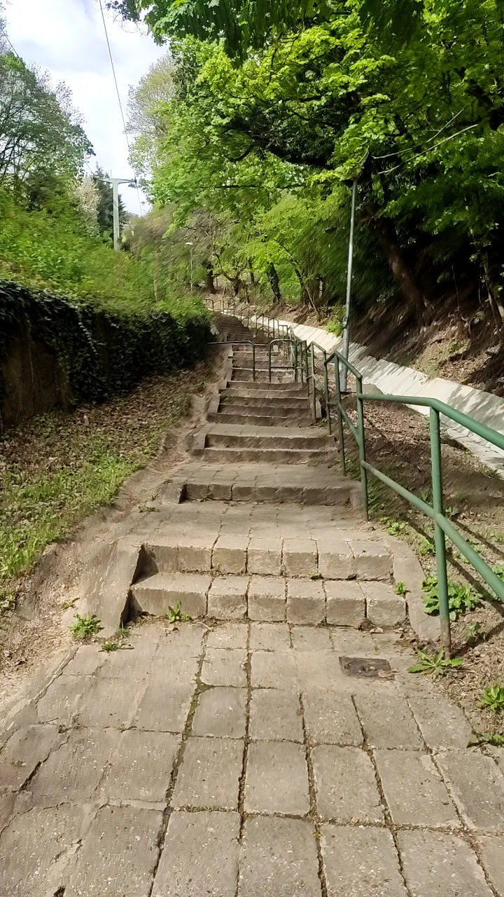 發現一條比較正常的路(左上角其實就是纜車的繩索)