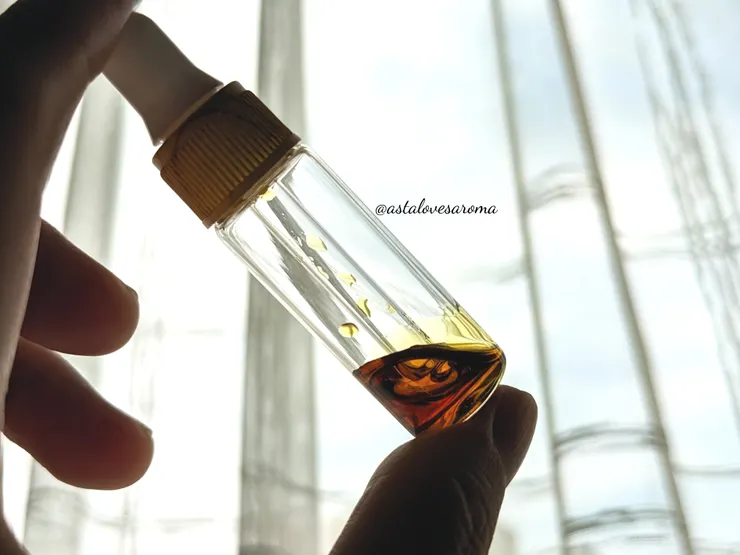 『岩蘭草夜花 Attar』美麗的色澤