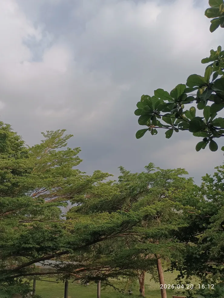 碧天白雲無定處