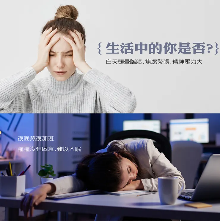 不論你正在找舒壓按摩器、睡眠按摩器,找對按摩器能滿足需求。