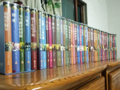 閱讀心得-崇文館世界文學系列