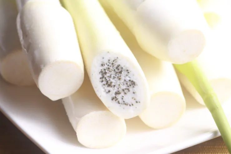 太晚採收的茭白筍，黑粉菌就會產生黑褐色的孢子堆，形成「黑心」，能吃，但口感與賣相均不佳，因此農家會挑出來，留著自己吃