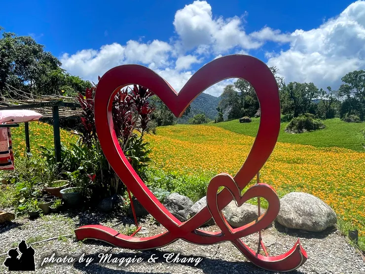 但在藍天白雲的襯托下，透過愛心可見那一片片橘黃色的花田依然充滿生命力。