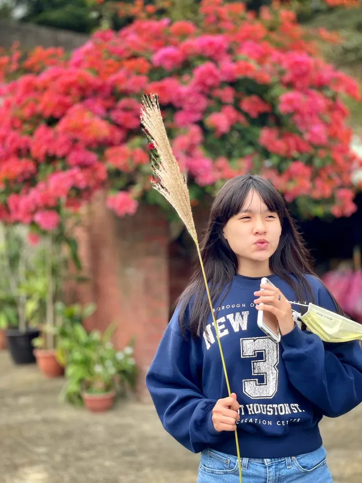 民宅上生命力旺盛的九重葛