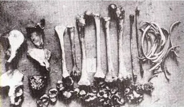 當時發現的人體骨骼