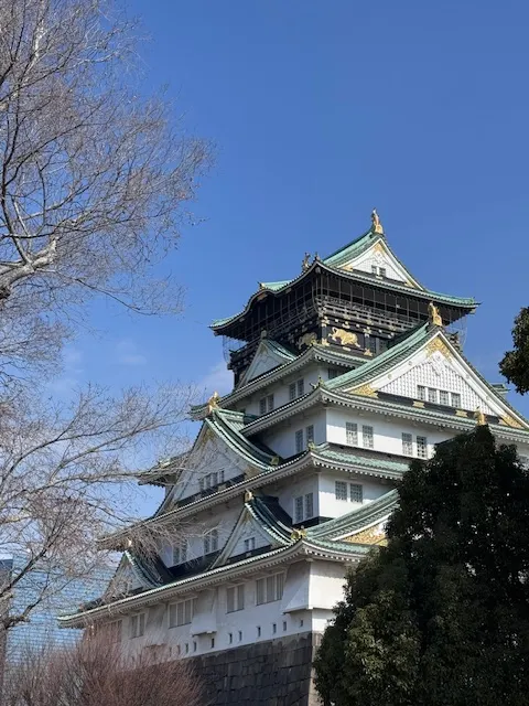 大阪城，photo by bookarchery