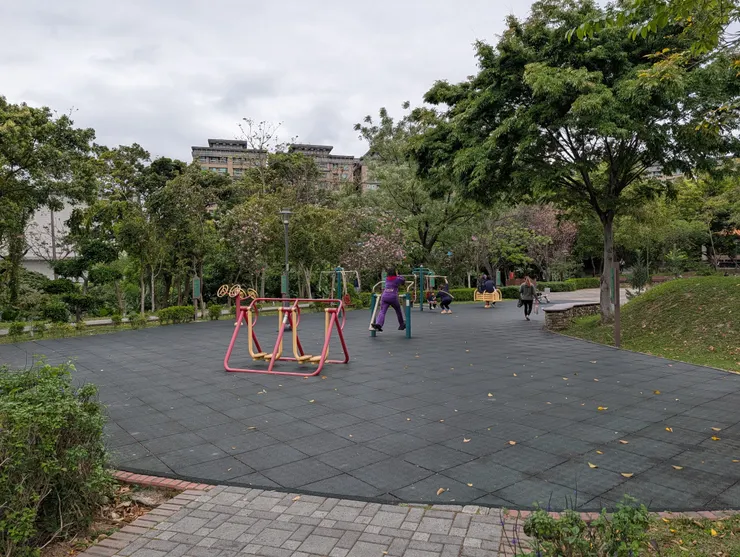 公園內有大人用的健身設施