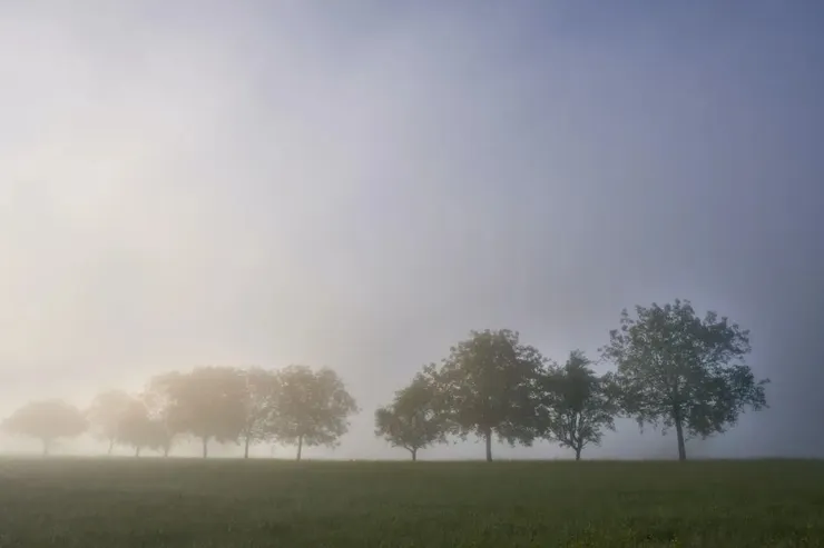 Photo by Wolfgang Hasselmann on Unsplash