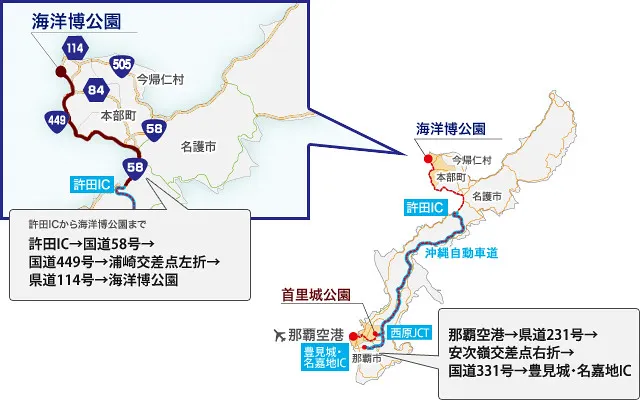 圖片來源:https://churaumi.okinawa/tc/haisai/