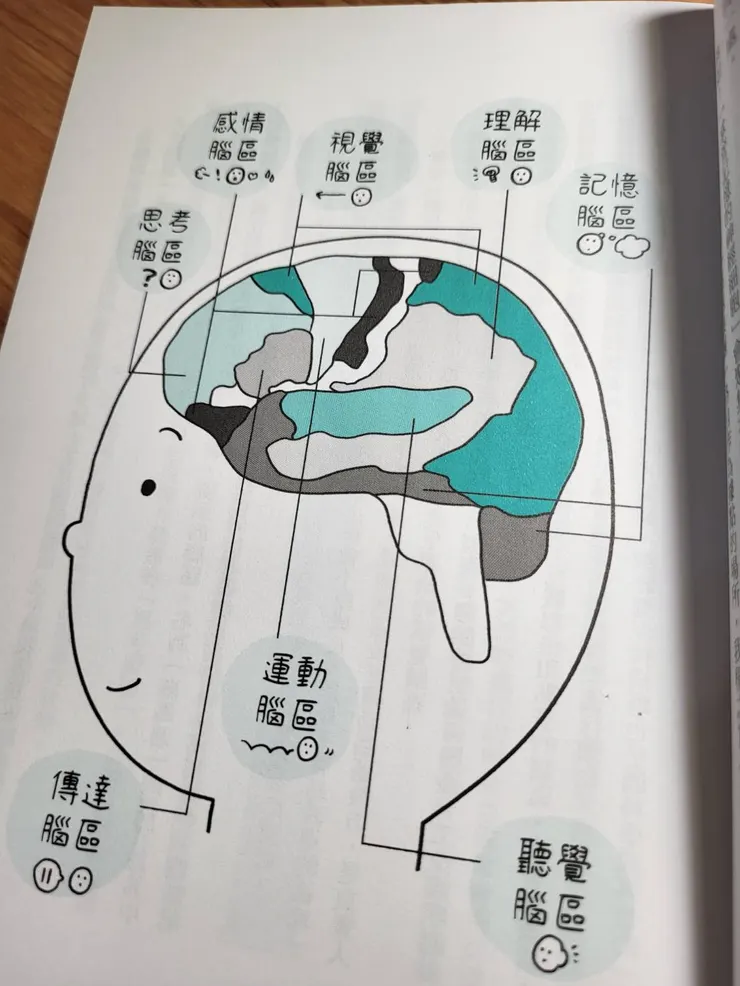 一般人都知道,大腦分為左腦和右腦,左腦掌管邏輯和語言,右腦掌管情感及藝術,當然如果想要更好的鍛鍊大腦,你還需要知道這些~