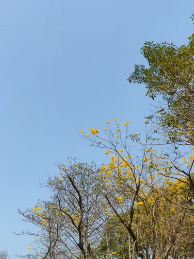 其實歲月靜好是生命的間隙吧？