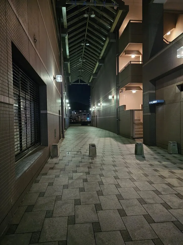 重返夜梨定情地