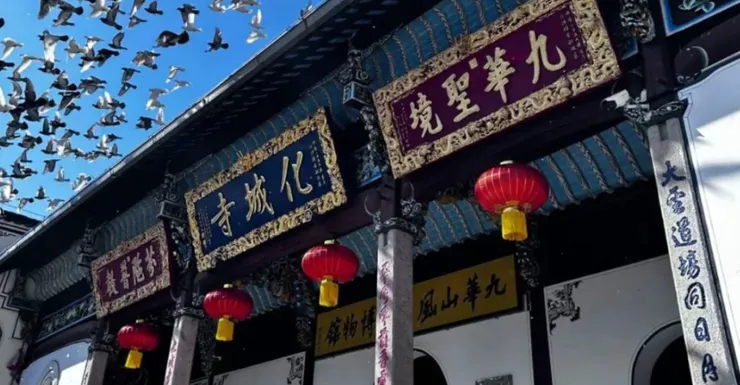 化城寺屋頂上方有幾隻飛鳥正在飛行，讓整個畫面看起來生動且充滿活力。