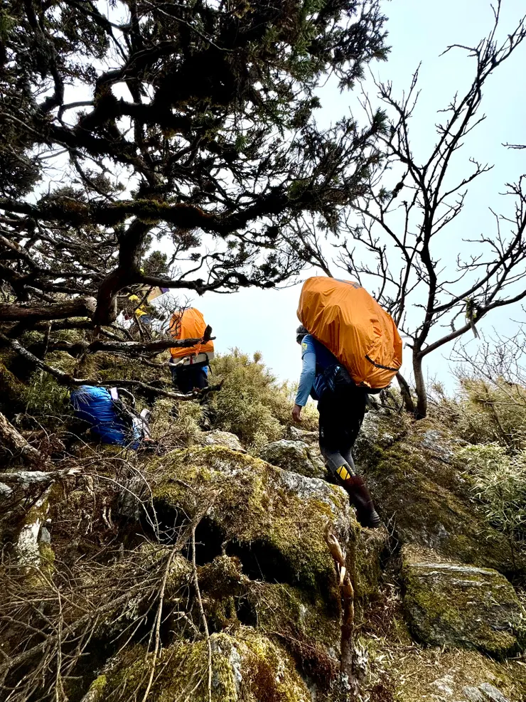 負重包的協作。