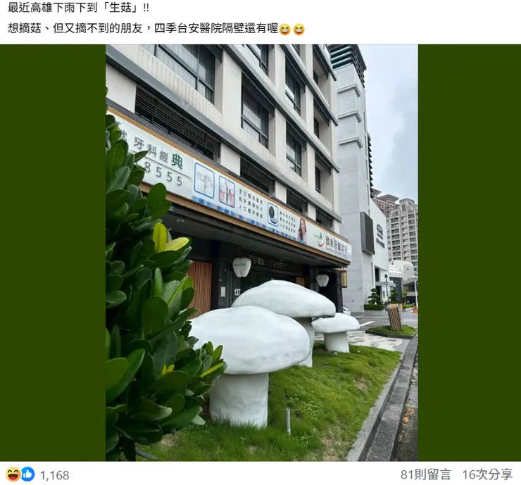 高雄分隔島香菇-醫院週邊裝置藝術跟風