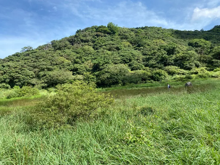 乾旱時看不出可能會積水變成「向天湖」的向天湖火山口草原。(攝:2024/9/4。)
