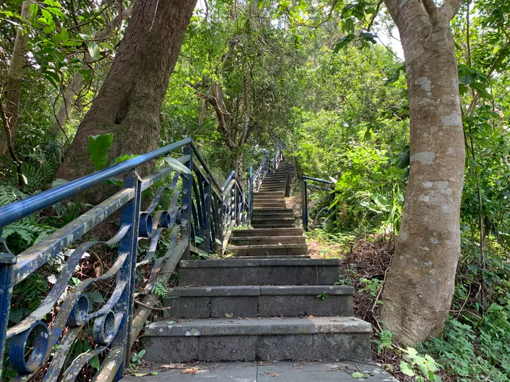夢夢：心心 妳姐真的很煩ㄟ！