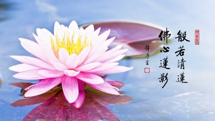 心地常淨 如在淨土