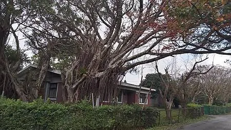 [台北旅遊]台灣唯一美國南方樣式建築群，走過國民外交的台灣近