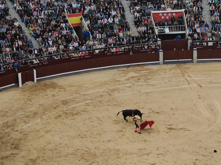 鬥牛士對決公牛